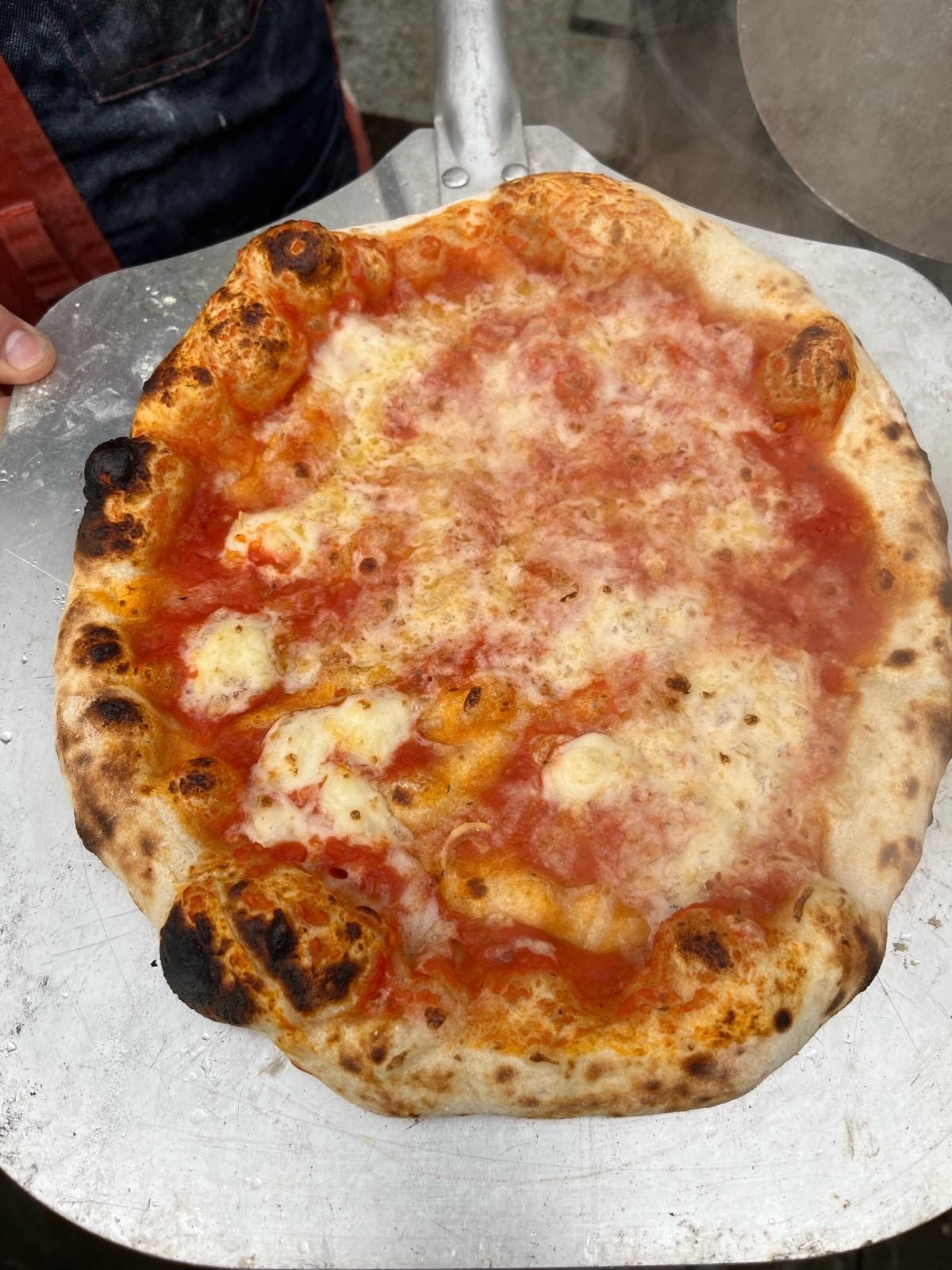 photo of a margherita pizza